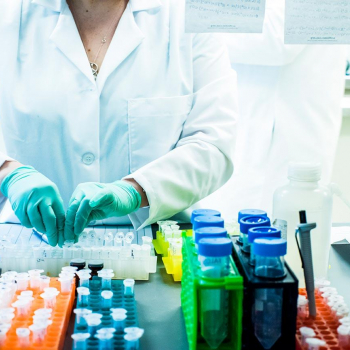Scientist arranges test tubes surrounded by various chemicals in a laboratory.